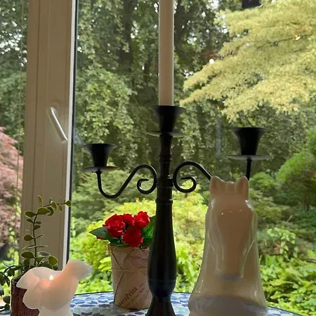 Le Jardin Secret Pool And Appartement Lasne